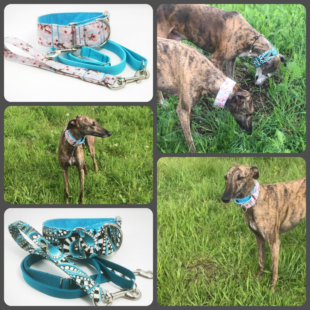 Hundehalsband Lederhalsband Paracord Zugstopp-Halsband Martingale Hundeleine Leine Lederleine Fettlederleine breites Halsband Klickverschluss Rollschnalle Ersatzbezug Flocke Hundebett Cosybed Hyggebed Donut Hundebett Flocke hundeschlafsack Hundedecke Hund Hunde Windhund luxus elegant exklusiv bequem handmade in Deutschland NRW gepolstert Softshell Brokat Dackel Dalmatiner Rhodesian Ridgeback Vizla Podenco Galgo Jagdhund Terrier Bulldogge OEB Frenchie Saluki Barsoi Labrador Cocker Spaniel paisley
