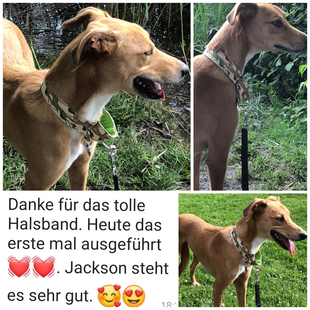 Hundehalsband Lederhalsband Paracord Zugstopp-Halsband Martingale Hundeleine Leine Lederleine Fettlederleine breites Halsband Klickverschluss Rollschnalle Ersatzbezug Flocke Hundebett Cosybed Hyggebed Donut Hundebett Flocke hundeschlafsack Hundedecke Hund Hunde Windhund luxus elegant exklusiv bequem handmade in Deutschland NRW gepolstert Softshell Brokat Dackel Dalmatiner Rhodesian Ridgeback Vizla Podenco Galgo Jagdhund Terrier Bulldogge OEB Frenchie Saluki Barsoi Labrador Cocker Spaniel Animalprint