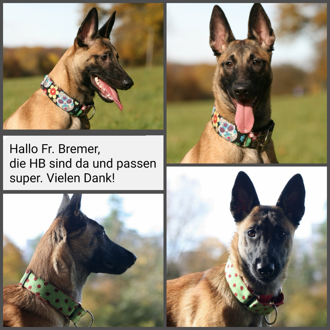 Hundehalsband Lederhalsband Paracord Zugstopp-Halsband Martingale Hundeleine Leine Lederleine Fettlederleine breites Halsband Klickverschluss Rollschnalle Ersatzbezug Flocke Hundebett Cosybed Hyggebed Donut Hundebett Flocke hundeschlafsack Hundedecke Hund Hunde Windhund luxus elegant exklusiv bequem handmade in Deutschland NRW gepolstert Softshell Brokat Dackel Dalmatiner Rhodesian Ridgeback Vizla Podenco Galgo Jagdhund Terrier Bulldogge OEB Frenchie Saluki Barsoi Labrador Cocker Spaniel Totenkopf