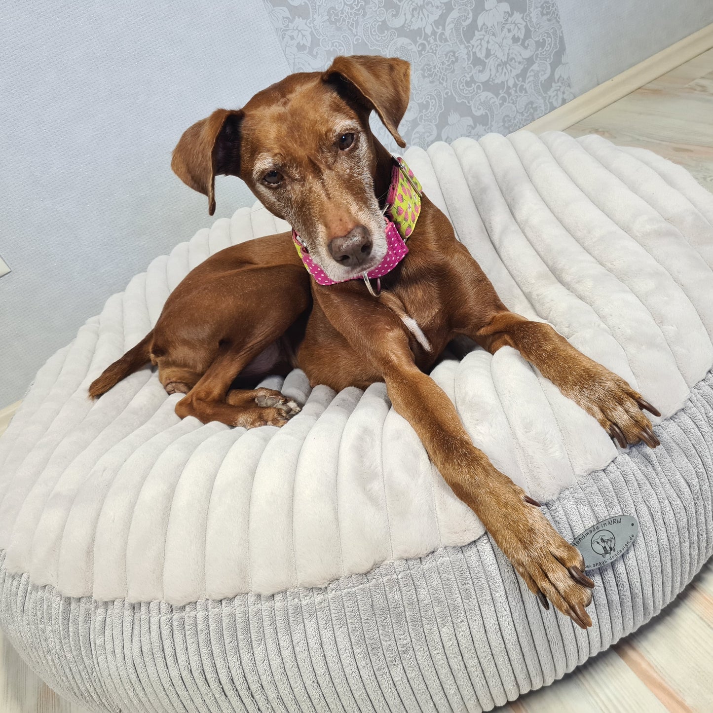 Ersatzbezug Hundebettbezug Flocke Cosybed Higgybed Donut Hundebett Hund Hunde Dog Cord Fellimitat Softshell edel schnell luxus deutschland handgefertigt handmade kleinunternehmen startup inkontinenzschutz hundeaccessoires hundeshop Hundebett hundedecke hundemesse waschbar zooplusflocke Bezug hundedonut madeingermany hyggebed welovedogs wolke wohnaccessoires elegant bequem nrw rippen streifen