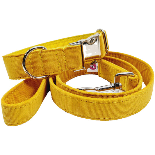 Hundehalsband "BabyCord-uni" mit Klick in verschiedenen Farben