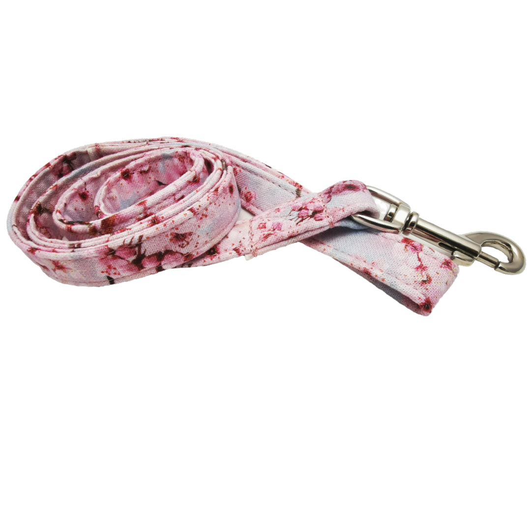 Hundehalsband Lederhalsband Paracord Zugstopp-Halsband Martingale Hundeleine Leine Lederleine Fettlederleine breites Halsband Klickverschluss Rollschnalle Ersatzbezug Flocke Hundebett Cosybed Hyggebed Donut Hundebett Flocke hundeschlafsack Hundedecke Hund Hunde Windhund luxus elegant exklusiv bequem handmade in Deutschland NRW gepolstert Softshell Brokat Dackel Dalmatiner Rhodesian Ridgeback Vizla Podenco Galgo Jagdhund Terrier Bulldogge OEB Frenchie Saluki Barsoi Labrador Cocker Spaniel Kirschblüte