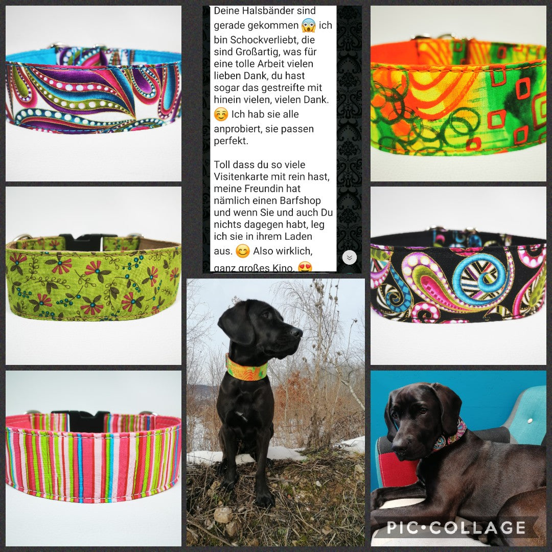 Hundehalsband Lederhalsband Paracord Zugstopp-Halsband Martingale Hundeleine Leine Lederleine Fettlederleine breites Halsband Klickverschluss Rollschnalle Ersatzbezug Flocke Hundebett Cosybed Hyggebed Donut Hundebett Flocke hundeschlafsack Hundedecke Hund Hunde Windhund luxus elegant exklusiv bequem handmade in Deutschland NRW gepolstert Softshell Brokat Dackel Dalmatiner Rhodesian Ridgeback Vizla Podenco Galgo Jagdhund Terrier Bulldogge OEB Frenchie Saluki Barsoi Labrador Cocker Spaniel paisley