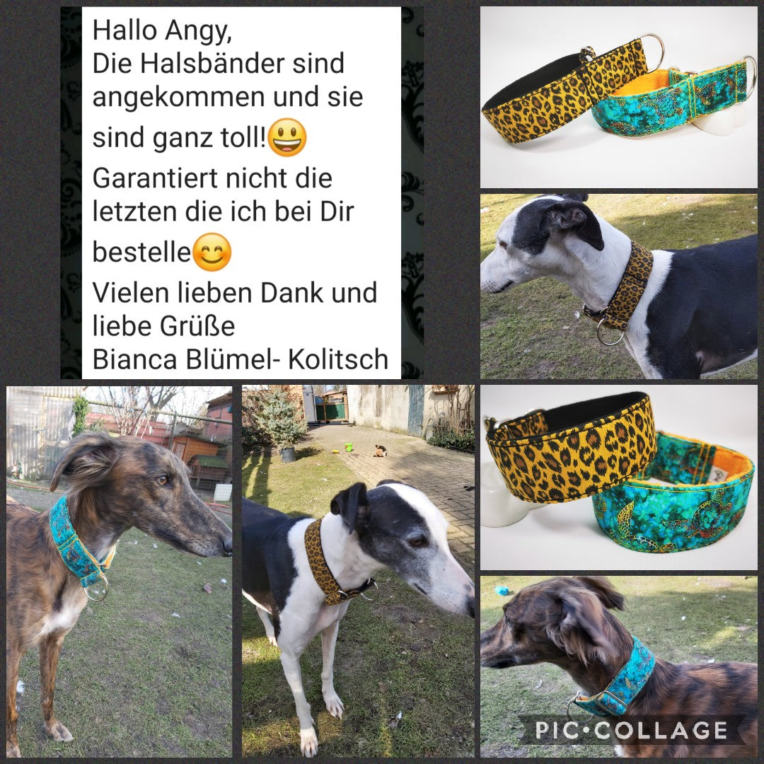 Hundehalsband Lederhalsband Paracord Zugstopp-Halsband Martingale Hundeleine Leine Lederleine Fettlederleine breites Halsband Klickverschluss Rollschnalle Ersatzbezug Flocke Hundebett Cosybed Hyggebed Donut Hundebett Flocke hundeschlafsack Hundedecke Hund Hunde Windhund luxus elegant exklusiv bequem handmade in Deutschland NRW gepolstert Softshell Brokat Dackel Dalmatiner Rhodesian Ridgeback Vizla Podenco Galgo Jagdhund Terrier Bulldogge OEB Frenchie Saluki Barsoi Labrador Cocker Spaniel schildkröte