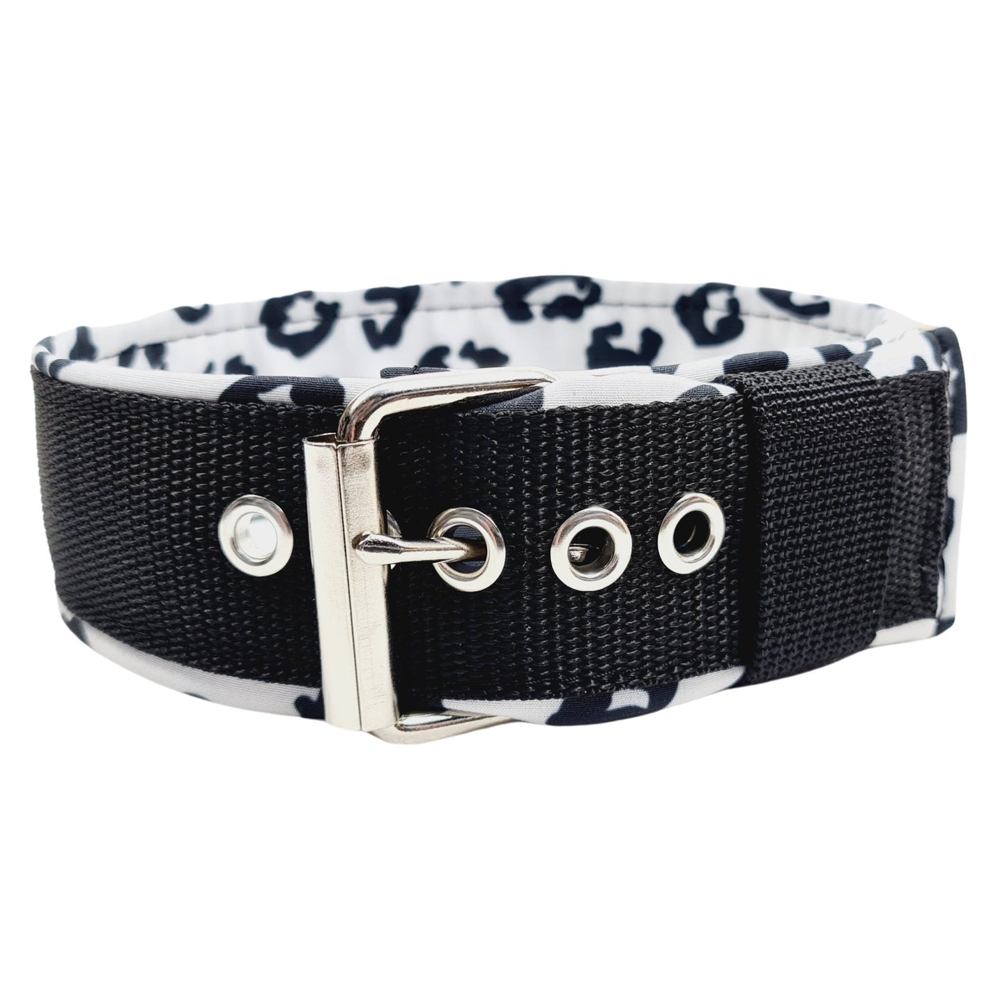 Hundehalsband Lederhalsband Paracord Zugstopp-Halsband Martingale Hundeleine Leine Lederleine Fettlederleine breites Halsband Klickverschluss Rollschnalle Ersatzbezug Flocke Hundebett Cosybed Hyggebed Donut Hundebett Flocke hundeschlafsack Hundedecke Hund Hunde Windhund luxus elegant exklusiv bequem handmade in Deutschland NRW gepolstert Softshell Brokat Dackel Dalmatiner Rhodesian Ridgeback Vizla Podenco Galgo Jagdhund Terrier Bulldogge OEB Frenchie Saluki Barsoi Labrador Cocker Spaniel