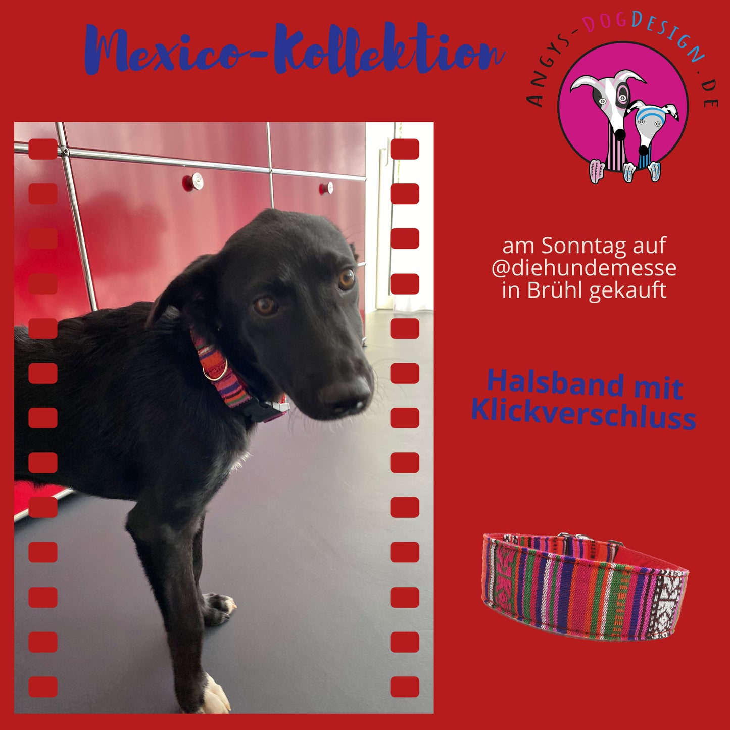 Hundehalsband Lederhalsband Paracord Zugstopp-Halsband Martingale Hundeleine Leine Lederleine Fettlederleine breites Halsband Klickverschluss Rollschnalle Ersatzbezug Flocke Hundebett Cosybed Hyggebed Donut Hundebett Flocke hundeschlafsack Hundedecke Hund Hunde Windhund luxus elegant exklusiv bequem handmade in Deutschland NRW gepolstert Softshell Brokat Dackel Dalmatiner Rhodesian Ridgeback Vizla Podenco Galgo Jagdhund Terrier Bulldogge OEB Frenchie Saluki Barsoi Labrador Cocker biothane mexico ethno