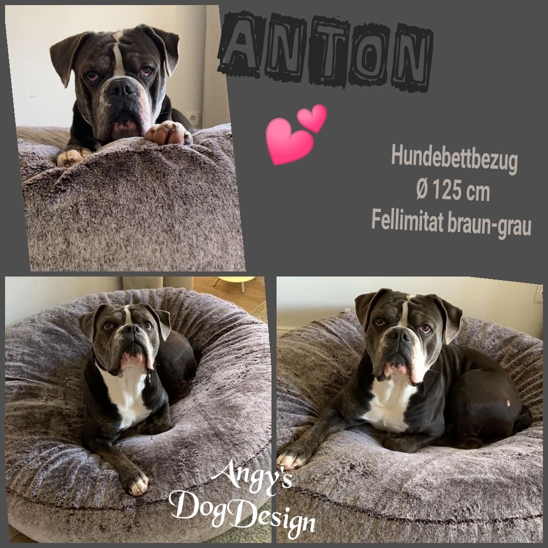 Ersatzbezug Hundebettbezug Flocke Cosybed Higgybed Donut Hundebett Hund Hunde Dog Cord Fellimitat Softshell edel schnell luxus deutschland handgefertigt handmade kleinunternehmen startup inkontinenzschutz hundeaccessoires hundeshop Hundebett hundedecke hundemesse waschbar zooplusflocke Bezug hundedonut madeingermany hyggebed welovedogs wolke wohnaccessoires elegant bequem nrw wellen kombiniert langhaar exclusiv exklusiv OEB Old Englisch Bulldog