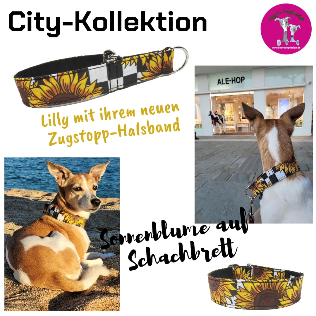 Hundehalsband Lederhalsband Paracord Zugstopp-Halsband Martingale Hundeleine Leine Lederleine Fettlederleine breites Halsband Klickverschluss Rollschnalle Ersatzbezug Flocke Hundebett Cosybed Hyggebed Donut Hundebett Flocke hundeschlafsack Hundedecke Hund Hunde Windhund luxus elegant exklusiv bequem handmade in Deutschland NRW gepolstert Softshell Brokat Dackel Dalmatiner Rhodesian Ridgeback Vizla Podenco Galgo Jagdhund Terrier Bulldogge OEB Frenchie Saluki Barsoi Labrador Cocker Spaniel Herbst