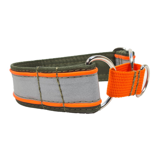 Hundehalsband Zugstopphalsband Martingale Martingalecollar Leuchthalsband reflektorhalsband reflektierend Leine Paracordhalsband Lederleine Fettleder leuchtet Orbiloc Tauleine Hunderassen Pudel Vizla Ridgeback Dalmatiner Jagdhund Deutschdrahthaar Pointer Windhund OEB Terrier Beagle Labrador