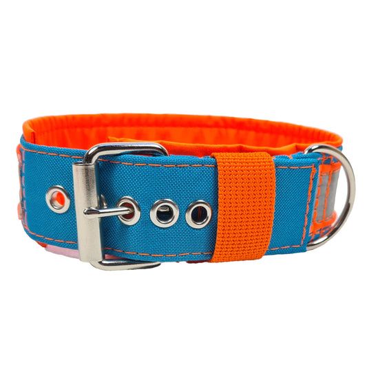Hundehalsband Hundehalsband mit Klickverschluss Rollschnalle Doppelstegschnalle Schnalle Zugstopphalsband Martingale Martingalecollar Leuchthalsband reflektorhalsband reflektierend Leine Paracordhalsband Lederleine Fettleder leuchtet Orbiloc Tauleine Hunderassen Pudel Vizla Ridgeback Dalmatiner Jagdhund Deutschdrahthaar Pointer Windhund OEB Terrier Beagle Labrador