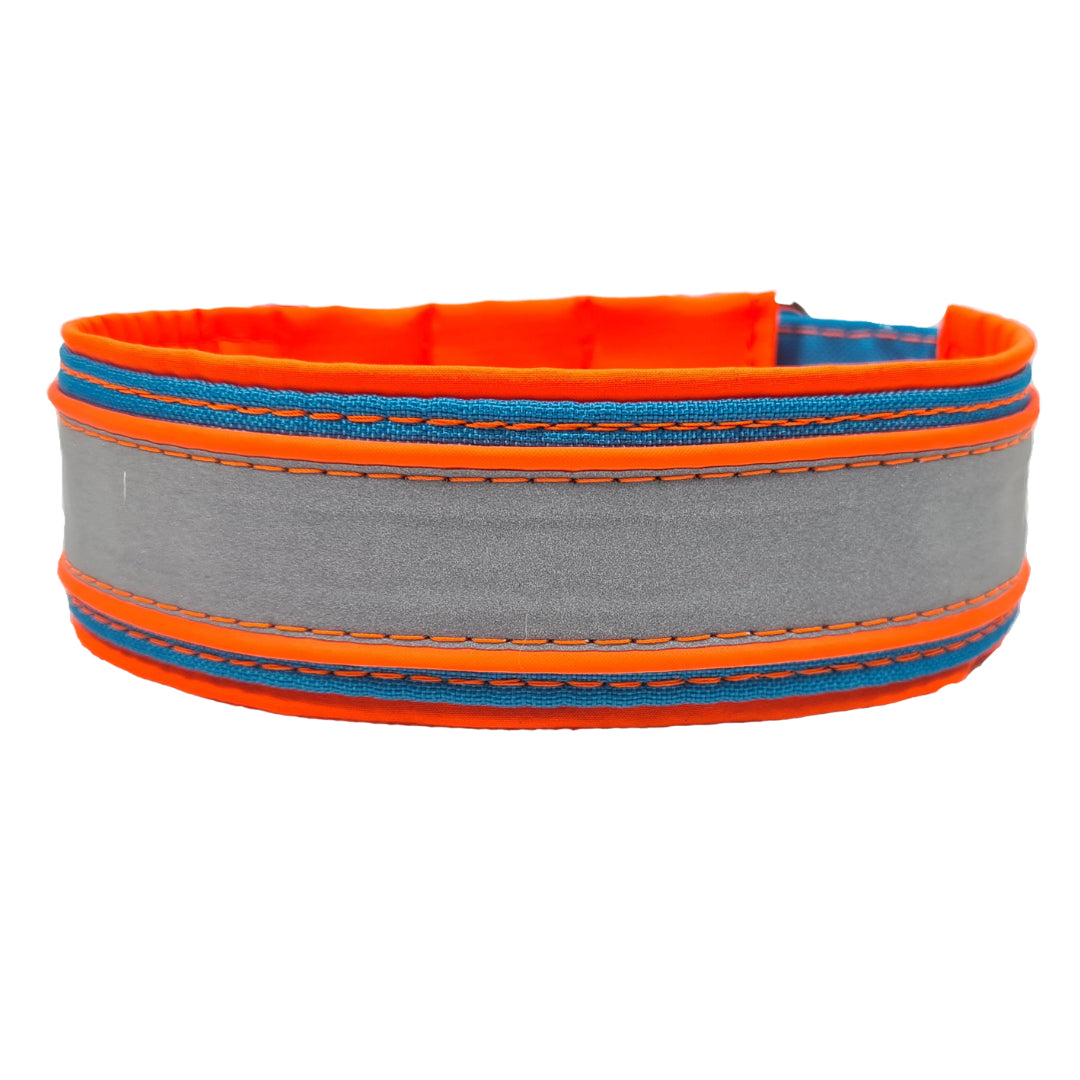 Hundehalsband Hundehalsband mit Klickverschluaa Zugstopphalsband Martingale Martingalecollar Leuchthalsband reflektorhalsband reflektierend Leine Paracordhalsband Lederleine Fettleder leuchtet Orbiloc Tauleine Hunderassen Pudel Vizla Ridgeback Dalmatiner Jagdhund Deutschdrahthaar Pointer Windhund OEB Terrier Beagle Labrador