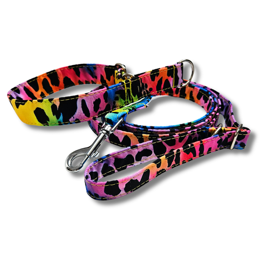 Sofortkauf-Zugstopp-Halsband-Leo-neon-multi S (28-36 cm)