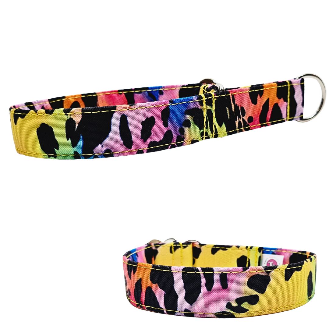 Sofortkauf-Zugstopp-Halsband-Leo-neon-multi S (28-36 cm)