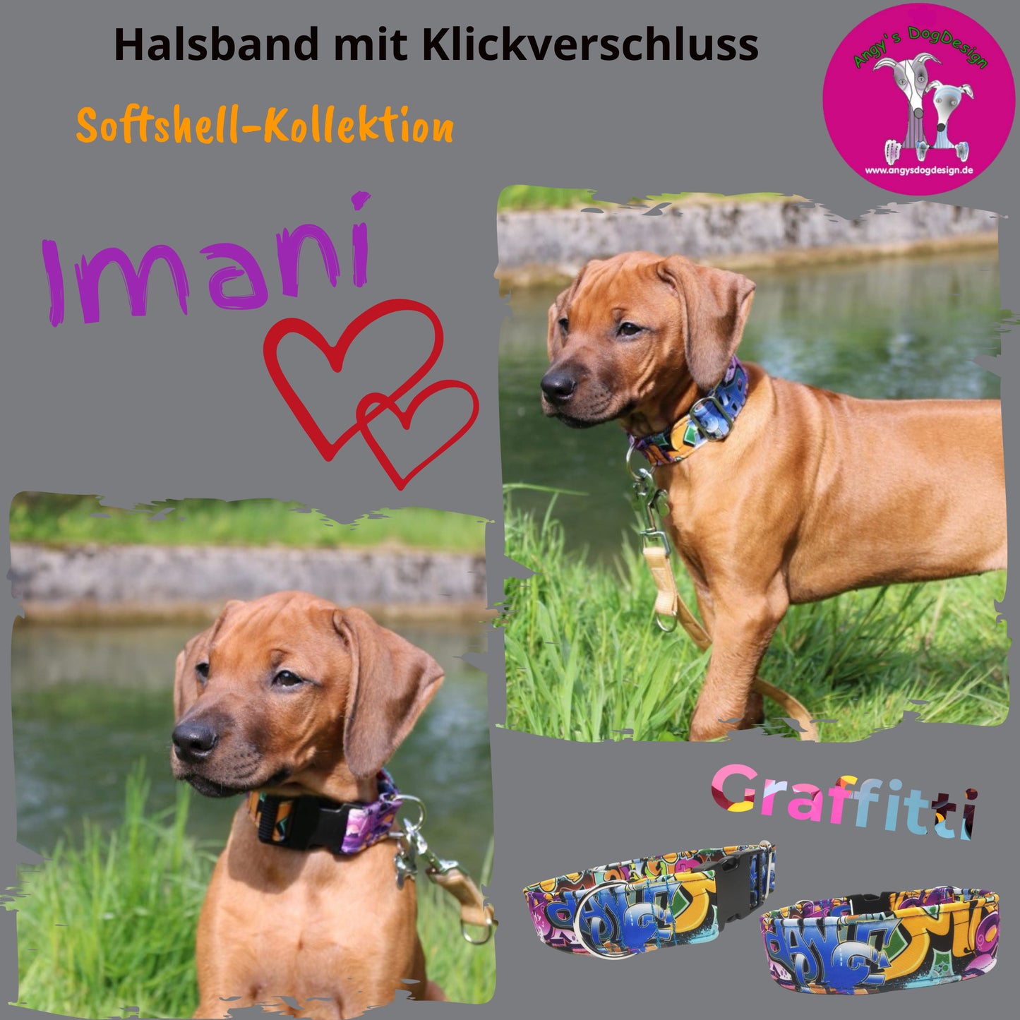 Hundehalsband "Softshell" mit Klick in verschiedenen Farben