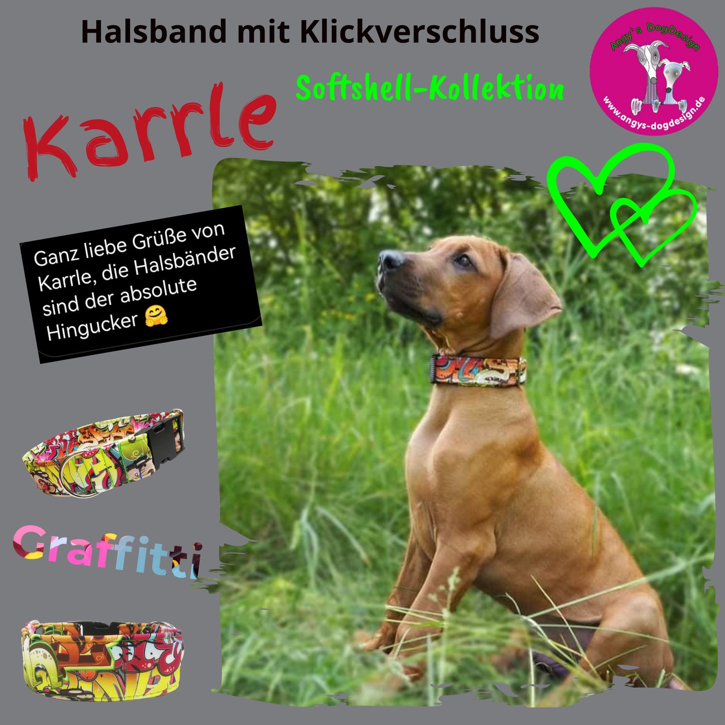 Hundehalsband "Softshell" mit Klick in verschiedenen Farben
