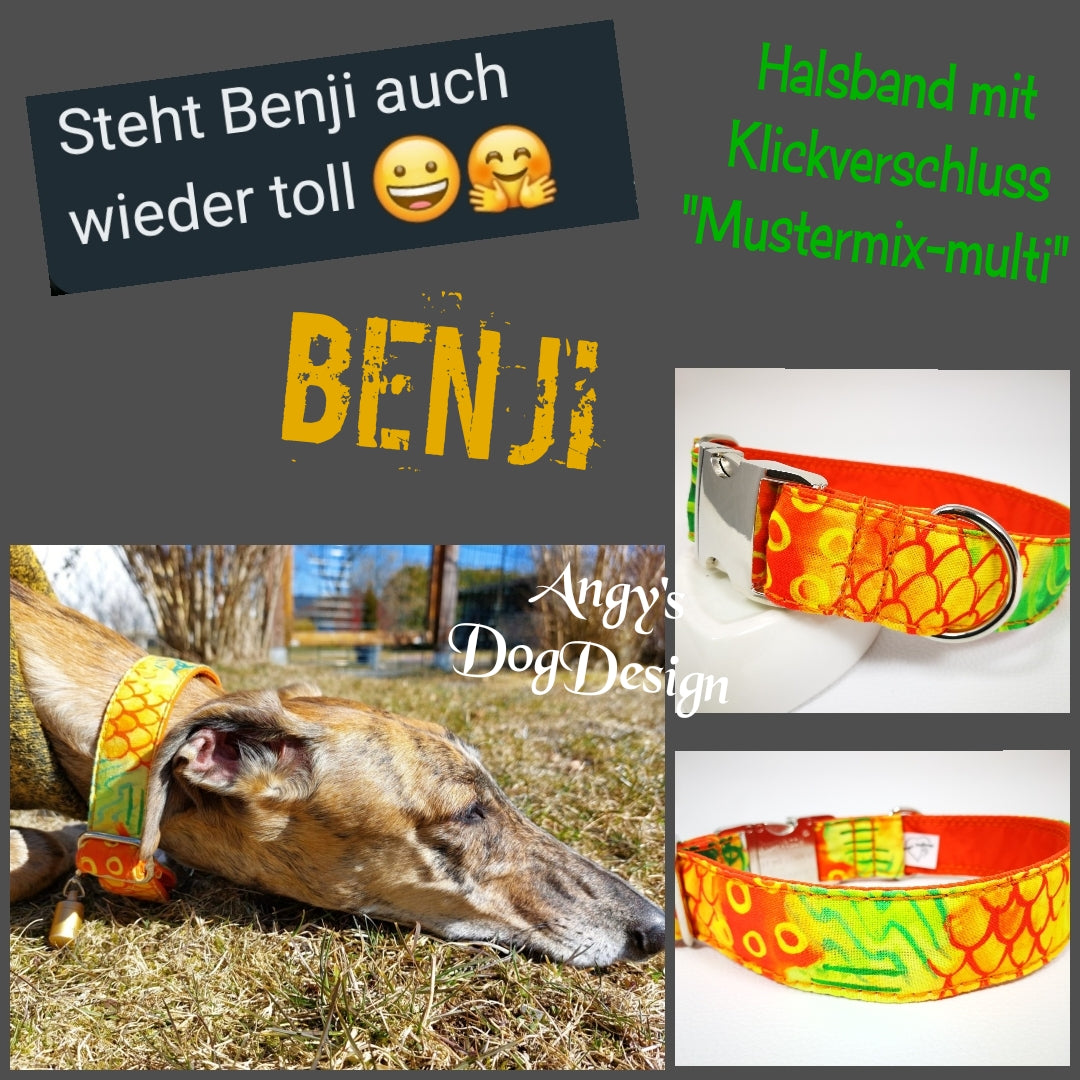 Hundehalsband "City-Multi" mit Klick in verschiedenen Farben