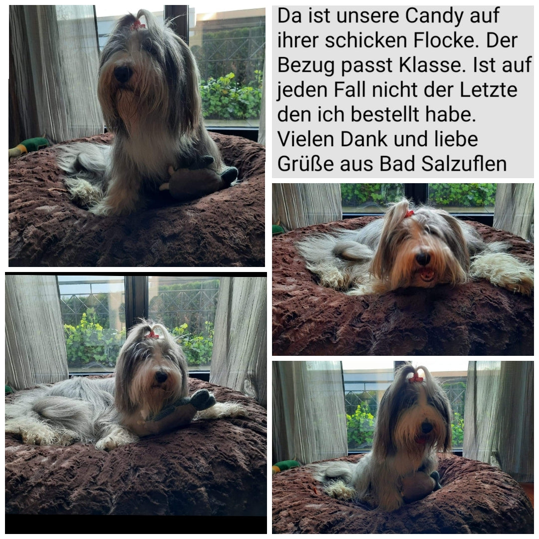 Ersatzbezug Hundebettbezug Flocke Cosybed Higgybed Donut Hundebett Hund Hunde Dog Cord Fellimitat Softshell edel schnell luxus deutschland handgefertigt handmade kleinunternehmen startup inkontinenzschutz hundeaccessoires hundeshop Hundebett hundedecke hundemesse waschbar zooplusflocke Bezug hundedonut madeingermany hyggebed welovedogs wolke wohnaccessoires elegant bequem nrw wellen kombiniert birdedcollie