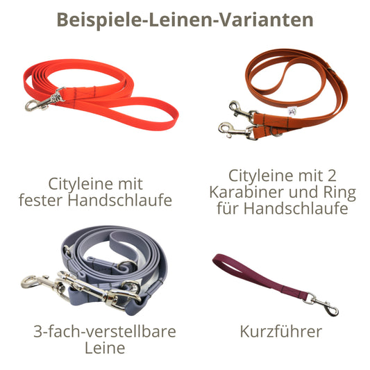Hundeleinen aus "BioThane®"