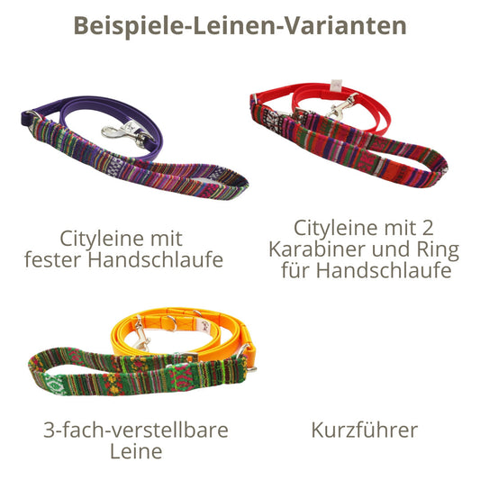 Hundeleine "Mexico kombiniert mit BioThane®" in verschiedenen Farben