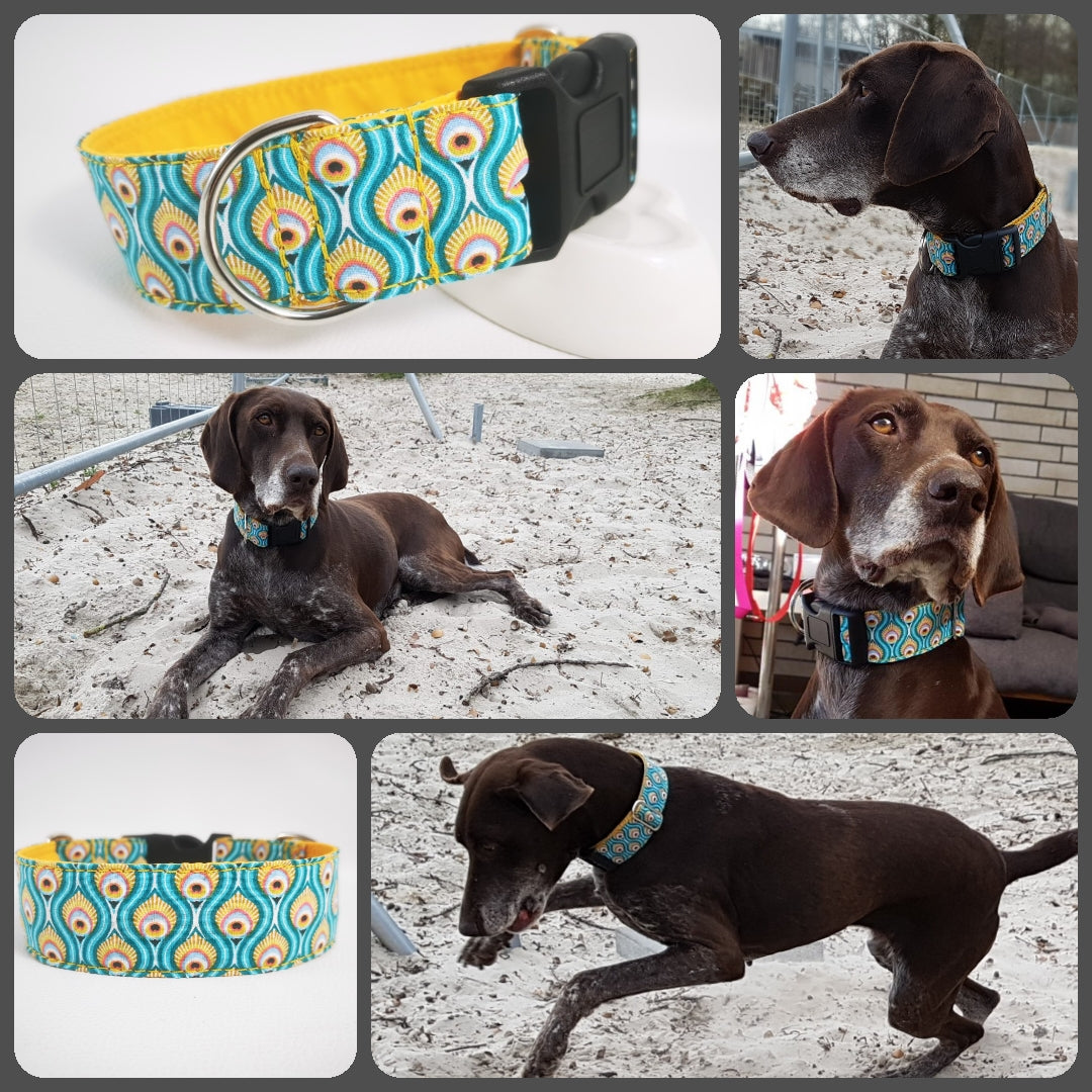 Hundehalsband Lederhalsband Paracord Zugstopp-Halsband Martingale Hundeleine Leine Lederleine Fettlederleine breites Halsband Klickverschluss Rollschnalle Ersatzbezug Flocke Hundebett Cosybed Hyggebed Donut Hundebett Flocke hundeschlafsack Hundedecke Hund Hunde Windhund luxus elegant exklusiv bequem handmade in Deutschland NRW gepolstert Softshell Brokat Dackel Dalmatiner Rhodesian Ridgeback Vizla Podenco Galgo Jagdhund Terrier Bulldogge OEB Frenchie Saluki Barsoi Labrador Cocker Spaniel Federn türkis