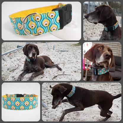Hundehalsband Lederhalsband Paracord Zugstopp-Halsband Martingale Hundeleine Leine Lederleine Fettlederleine breites Halsband Klickverschluss Rollschnalle Ersatzbezug Flocke Hundebett Cosybed Hyggebed Donut Hundebett Flocke hundeschlafsack Hundedecke Hund Hunde Windhund luxus elegant exklusiv bequem handmade in Deutschland NRW gepolstert Softshell Brokat Dackel Dalmatiner Rhodesian Ridgeback Vizla Podenco Galgo Jagdhund Terrier Bulldogge OEB Frenchie Saluki Barsoi Labrador Cocker Spaniel Federn türkis