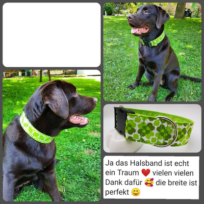 Hundehalsband "City-Multi" mit Klick in verschiedenen Farben