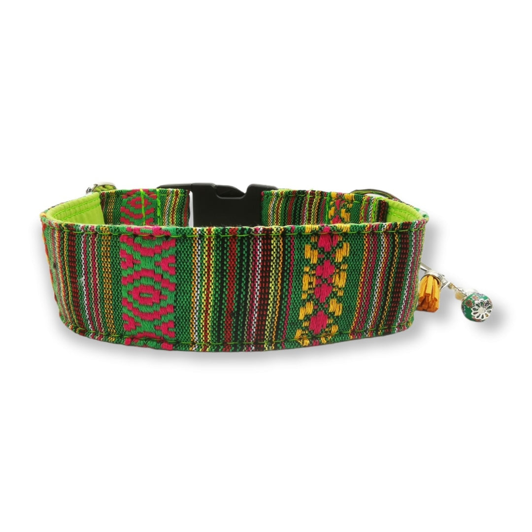 Sofortkauf-Hundehalsband "Mexico-grün" M (34-42 cm)