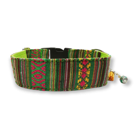 Sofortkauf-Hundehalsband "Mexico-grün" M (34-42 cm)