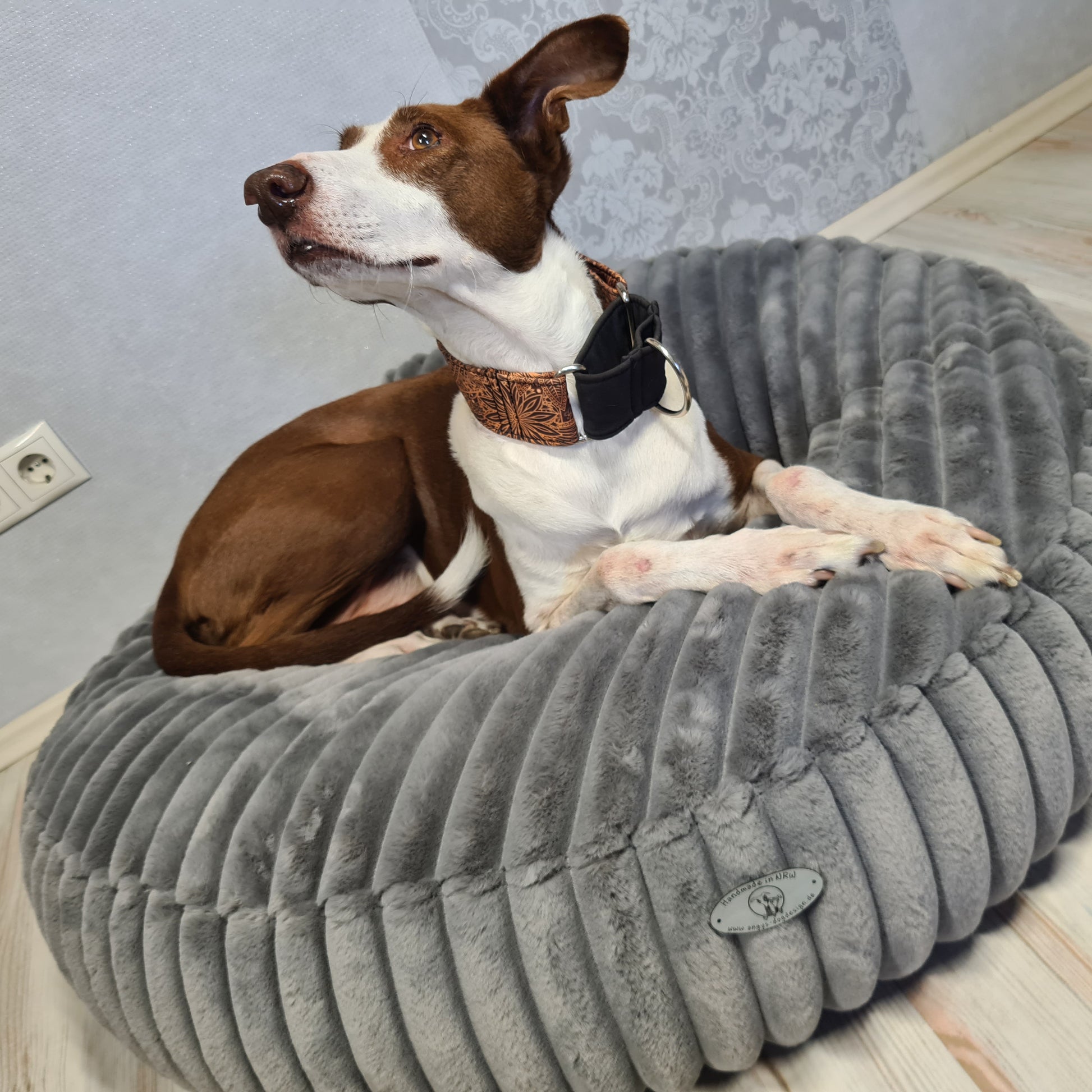 Ersatzbezug Hundebettbezug Flocke Cosybed Higgybed Donut  Hundebett Hund Hunde Dog Cord Fellimitat Softshell  edel schnell luxus deutschland handgefertigt handmade kleinunternehmen startup  inkontinenzschutz hundeaccessoires hundeshop Hundebett hundedecke hundemesse waschbar  zooplusflocke Bezug hundedonut madeingermany hyggebed welovedogs wolke wohnaccessoires elegant bequem nrw rippen streifen