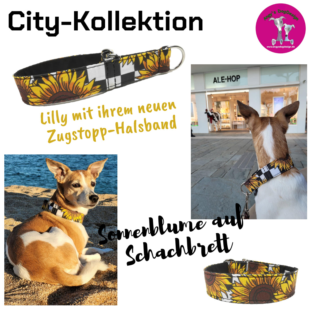 Hundehalsband Lederhalsband Paracord Zugstopp-Halsband Martingale Hundeleine Leine Lederleine Fettlederleine breites Halsband Klickverschluss Rollschnalle Ersatzbezug Flocke Hundebett Cosybed Hyggebed Donut Hundebett Flocke hundeschlafsack Hundedecke Hund Hunde Windhund luxus elegant exklusiv bequem handmade in Deutschland NRW gepolstert Softshell Brokat Dackel Dalmatiner Rhodesian Ridgeback Vizla Podenco Galgo Jagdhund Terrier Bulldogge OEB Frenchie Saluki Barsoi Labrador Cocker Sonnenblume Kundenfoto