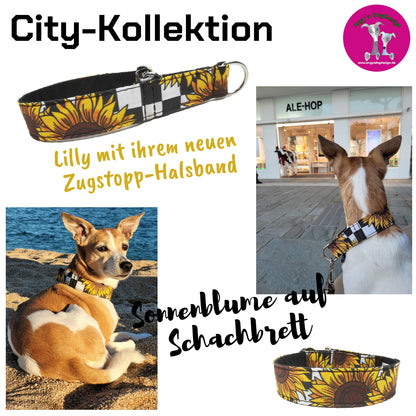 Hundehalsband Lederhalsband Paracord Zugstopp-Halsband Martingale Hundeleine Leine Lederleine Fettlederleine breites Halsband Klickverschluss Rollschnalle Ersatzbezug Flocke Hundebett Cosybed Hyggebed Donut Hundebett Flocke hundeschlafsack Hundedecke Hund Hunde Windhund luxus elegant exklusiv bequem handmade in Deutschland NRW gepolstert Softshell Brokat Dackel Dalmatiner Rhodesian Ridgeback Vizla Podenco Galgo Jagdhund Terrier Bulldogge OEB Frenchie Saluki Barsoi Labrador Cocker Sonnenblume Kundenfoto