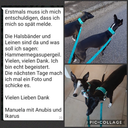 Hundehalsband Lederhalsband Paracord Zugstopp-Halsband Martingale Hundeleine Leine Lederleine Fettlederleine breites Halsband Klickverschluss Rollschnalle Ersatzbezug Flocke Hundebett Cosybed Hyggebed Donut Hundebett Flocke hundeschlafsack Hundedecke Hund Hunde Windhund luxus elegant exklusiv bequem handmade in Deutschland NRW gepolstert Softshell Brokat Dackel Dalmatiner Rhodesian Ridgeback Vizla Podenco Galgo Jagdhund Terrier Bulldogge OEB Frenchie Saluki Barsoi Labrador Cocker Spaniel glitzer Kundenfoto