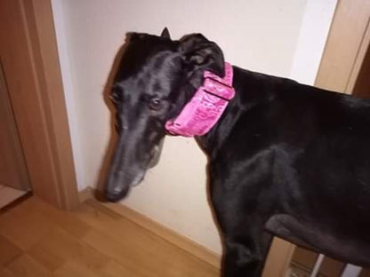 Hundehalsband Lederhalsband Paracord Zugstopp-Halsband Martingale Hundeleine Leine Lederleine Fettlederleine breites Halsband Klickverschluss Rollschnalle Ersatzbezug Flocke Hundebett Cosybed Hyggebed Donut Hundebett Flocke hundeschlafsack Hundedecke Hund Hunde Windhund luxus elegant exklusiv bequem handmade in Deutschland NRW gepolstert Softshell Brokat Dackel Dalmatiner Rhodesian Ridgeback Vizla Podenco Galgo Jagdhund Terrier Bulldogge OEB Frenchie Saluki Barsoi Labrador Cocker Spaniel glitzer Kundenfoto