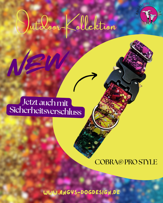 Hundehalsband-Outdoor–bunt (personalisierbar)