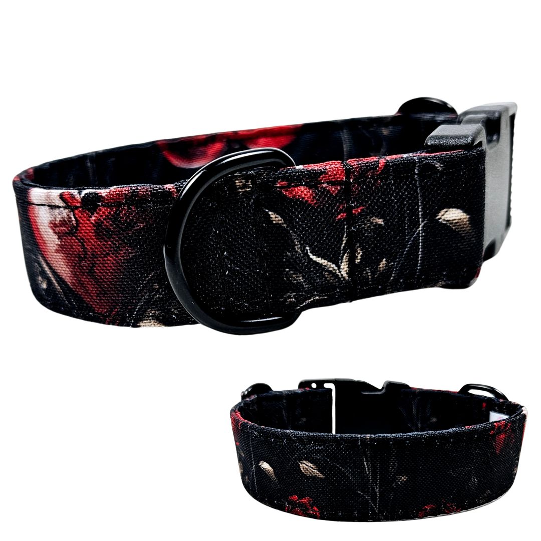 Hundehalsband-Outdoor–bunt - personalisierbar