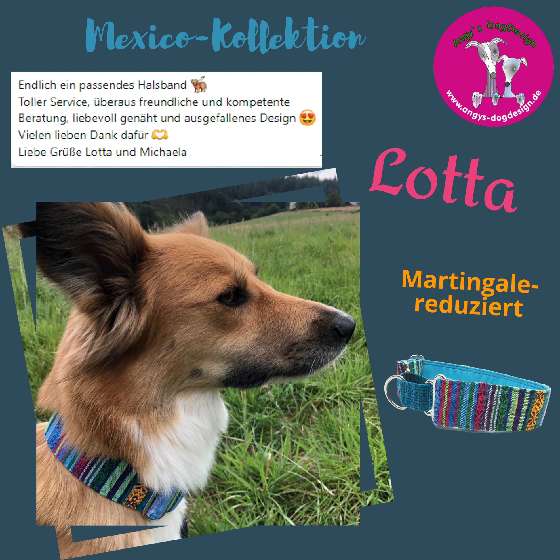 Hundehalsband Lederhalsband Paracord Zugstopp-Halsband Martingale Hundeleine Leine Lederleine Fettlederleine breites Halsband Klickverschluss Rollschnalle Ersatzbezug Flocke Hundebett Cosybed Hyggebed Donut Hundebett Flocke hundeschlafsack Hundedecke Hund Hunde Windhund luxus elegant exklusiv bequem handmade in Deutschland NRW gepolstert Softshell Brokat Dackel Dalmatiner Rhodesian Ridgeback Vizla Podenco Galgo Jagdhund Terrier Bulldogge OEB Frenchie Saluki Barsoi Labrador biothane mexico ethno hippie boho