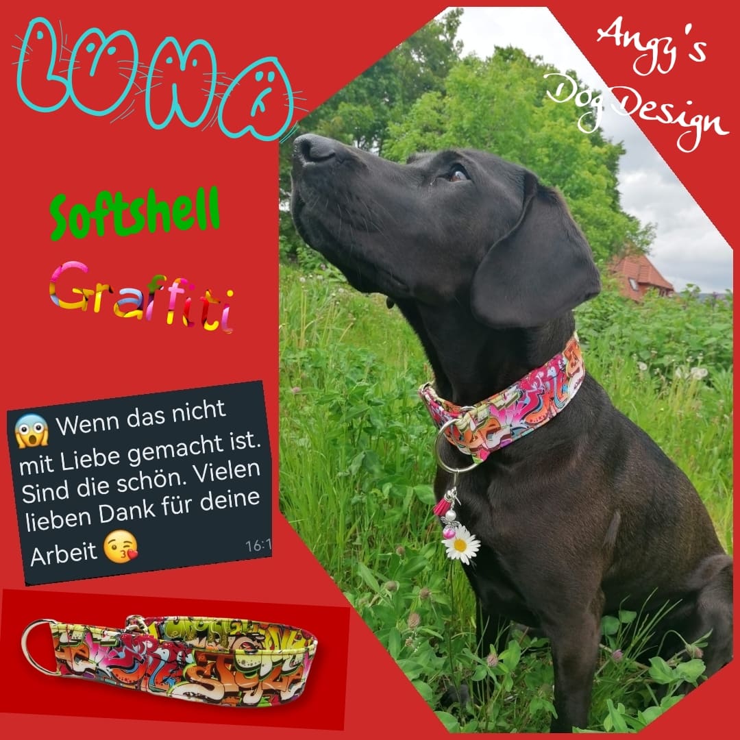 Hundehalsband Lederhalsband Paracord Zugstopp-Halsband Martingale Hundeleine Leine Lederleine Fettlederleine breites Halsband Klickverschluss Rollschnalle Ersatzbezug Flocke Hundebett Cosybed Hyggebed Donut Hundebett Flocke hundeschlafsack Hundedecke Hund Hunde Windhund luxus elegant exklusiv bequem handmade in Deutschland NRW gepolstert Softshell Brokat Dackel Dalmatiner Rhodesian Ridgeback Vizla Podenco Galgo Jagdhund Terrier Bulldogge OEB Frenchie Saluki Barsoi Labrador Cocker Spaniel Softshell