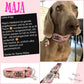 Hundehalsband "City-Multi" - Martingale- Zugstopp in verschiedenen Farben