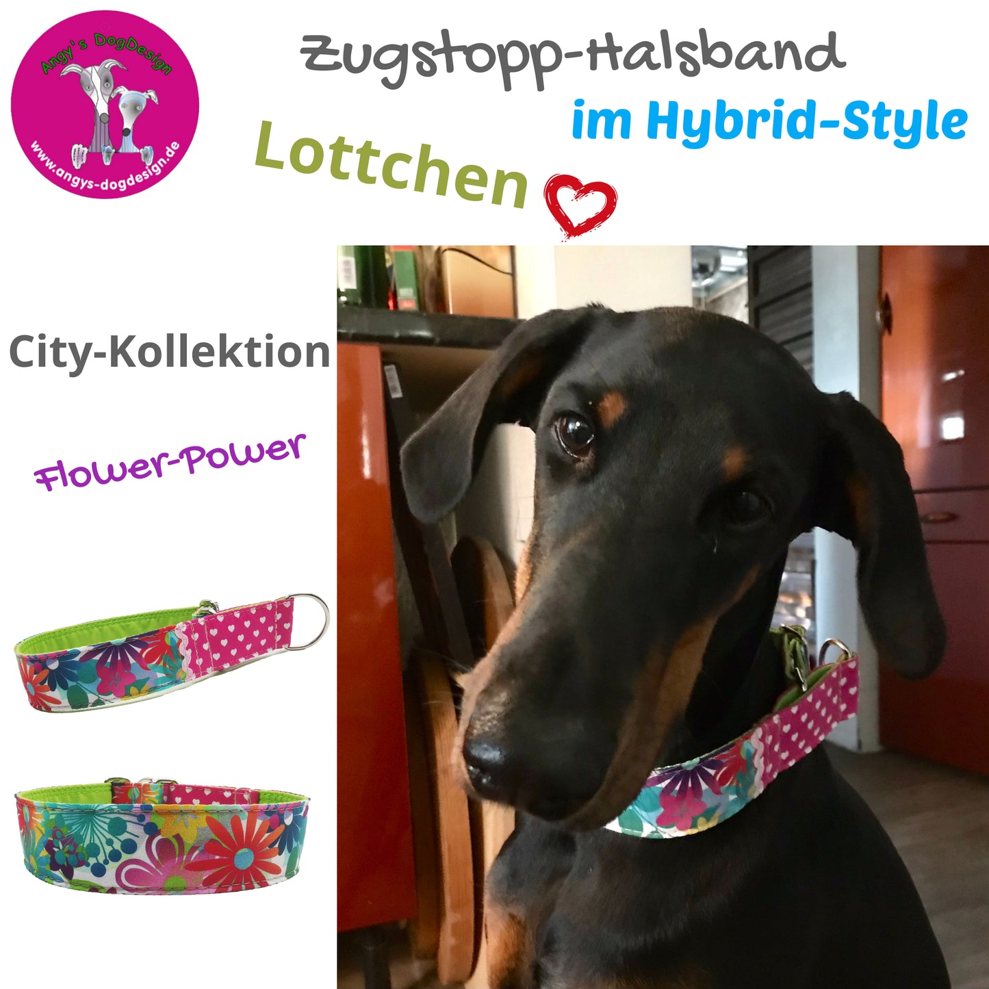 Hundehalsband "City-Multi" - Martingale- Zugstopp in verschiedenen Farben