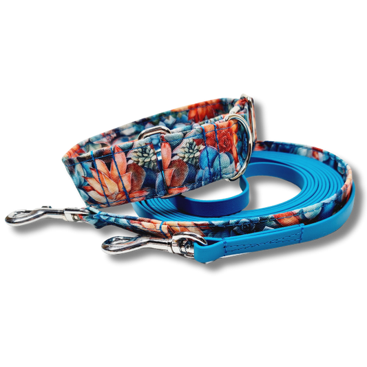 Sofortkauf-Hundehalsband-Leinen-Set "Outdoor" Succulente-türkis