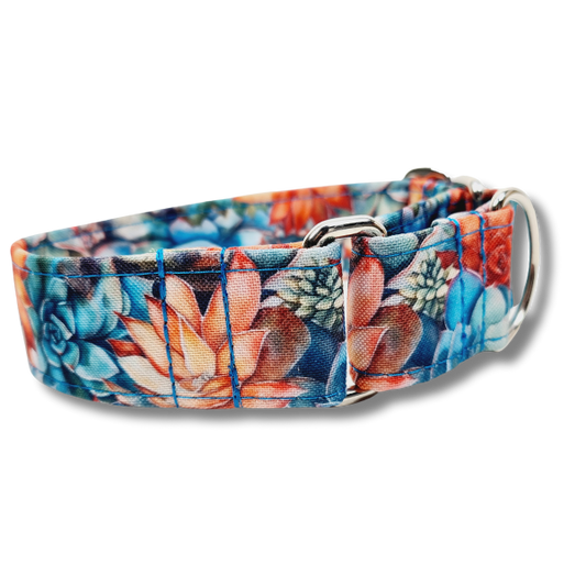Sofortkauf-Hundehalsband-Leinen-Set "Outdoor" Succulente-türkis