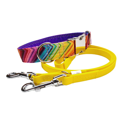 Hundehalsband "Mexico" mit Klick in verschiedenen Farben