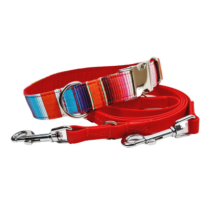 Hundehalsband "Mexico" mit Klick in verschiedenen Farben