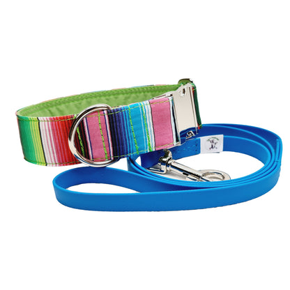 Hundehalsband "Mexico" mit Klick in verschiedenen Farben