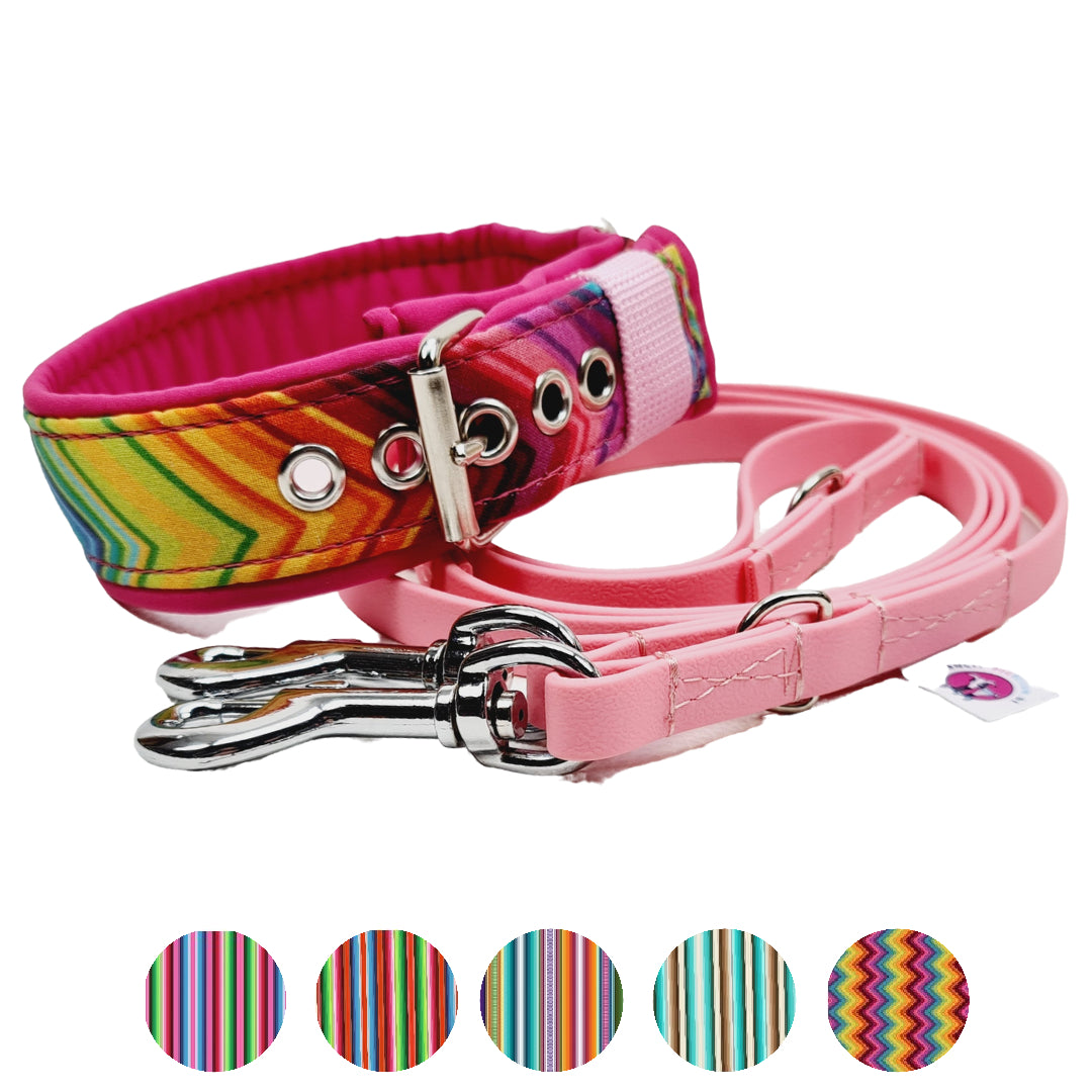 Hundehalsband Halsband Hund Hunde breites Halsband bunt Leo multi neon Schnalle Klickverschluss Martingale Zugstopp Paracord Tauhalsband Lederhalsband Dog collar Hundeaccessoires Hundetraining Hundezeug Hundeladen Onlineshop Hundeleine Leine leash Tauleine Fettleder Lederleine lang verstellbar stufenlos softshell outdoor cord canvas wasserabweisend mexico boho ethno gestreift hawai 