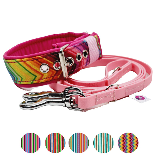 Hundehalsband Halsband Hund Hunde breites Halsband bunt Leo multi neon Schnalle Klickverschluss Martingale Zugstopp Paracord Tauhalsband Lederhalsband Dog collar Hundeaccessoires Hundetraining Hundezeug Hundeladen Onlineshop Hundeleine Leine leash Tauleine Fettleder Lederleine lang verstellbar stufenlos softshell outdoor cord canvas wasserabweisend mexico boho ethno gestreift hawai 