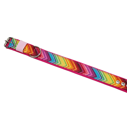 Hundehalsband Halsband Hund Hunde breites Halsband bunt Leo multi neon Schnalle Klickverschluss Martingale Zugstopp Paracord Tauhalsband Lederhalsband Dog collar Hundeaccessoires Hundetraining Hundezeug Hundeladen Onlineshop Hundeleine Leine leash Tauleine Fettleder Lederleine lang verstellbar stufenlos softshell outdoor cord canvas wasserabweisend  mexico boho ehtno hawai
