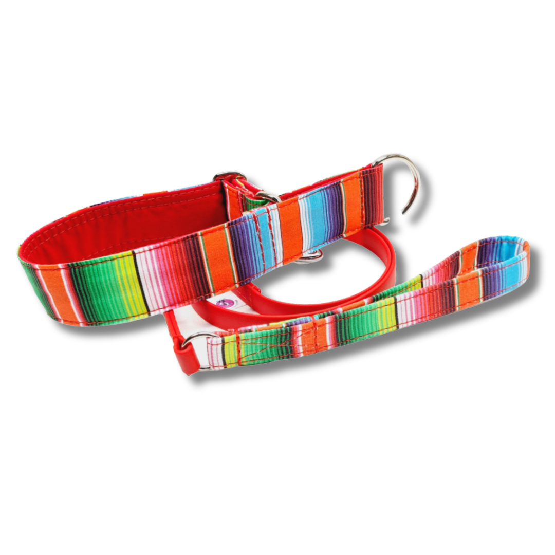 Hundehalsband-Mexico- Martingale- Zugstopp (konfigurierbar)