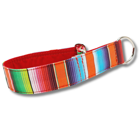 Hundehalsband-Mexico- Martingale- Zugstopp (konfigurierbar)