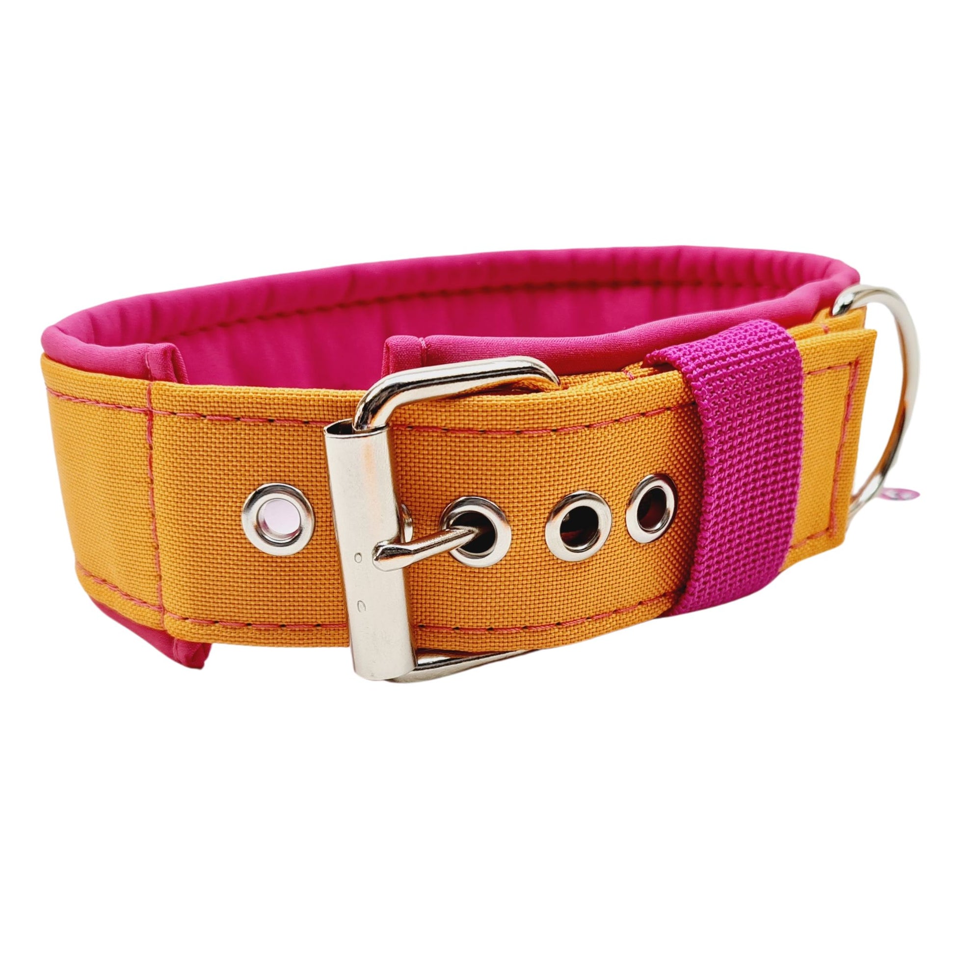 Hundehalsband Lederhalsband Paracord Zugstopp-Halsband Martingale Hundeleine Leine Lederleine Fettlederleine breites Halsband Klickverschluss Rollschnalle Ersatzbezug Flocke Hundebett Cosybed Hyggebed Donut Hundebett Flocke hundeschlafsack Hundedecke Hund Hunde Windhund luxus elegant exklusiv bequem handmade in Deutschland NRW gepolstert Softshell Brokat Dackel Dalmatiner Rhodesian Ridgeback Vizla Podenco Galgo Jagdhund Terrier Bulldogge OEB Frenchie Saluki Barsoi Labrador Cocker Spaniel Gurtband Outdoor